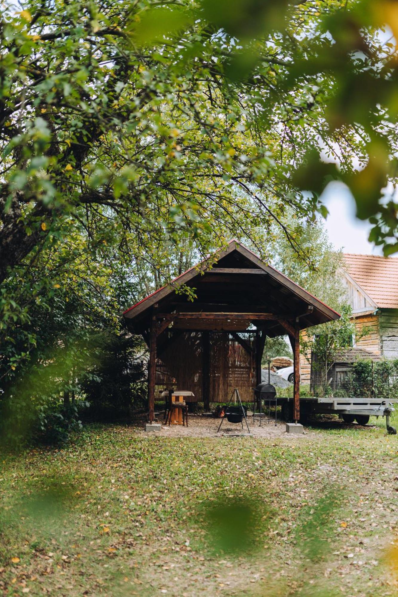 Kacor Guesthouse Lunca de Sus Exterior photo